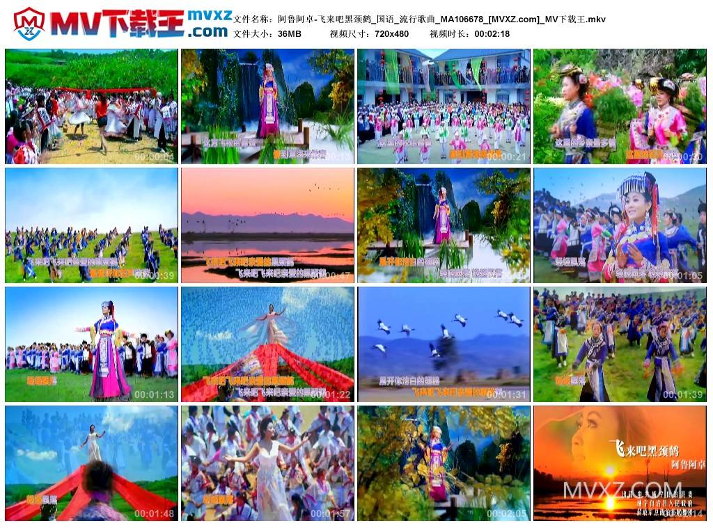 阿鲁阿卓-飞来吧黑颈鹤_国语_流行歌曲_MA106678